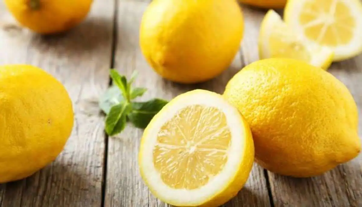 lemon